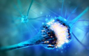 مراحل انتقال پیام عصبی در محل سیناپس چیست؟